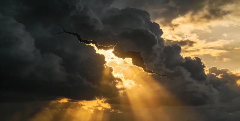 张家口肺癌12基因ctDNA突变检测(血液）图片1