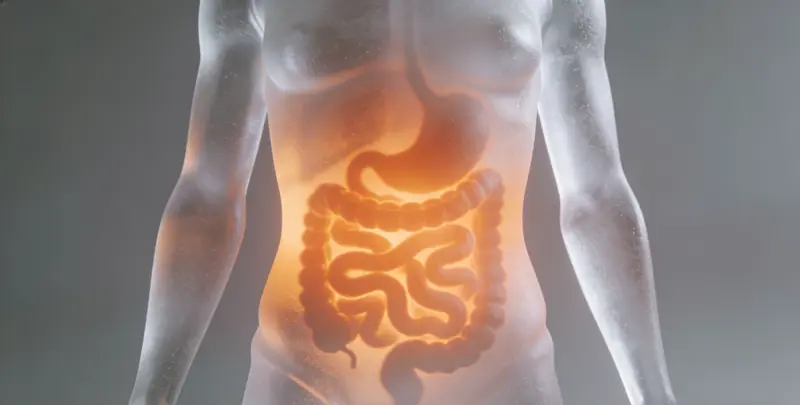 张家口胃癌靶向用药39基因检测及PDL122C3表达检测套餐（组织）图片1